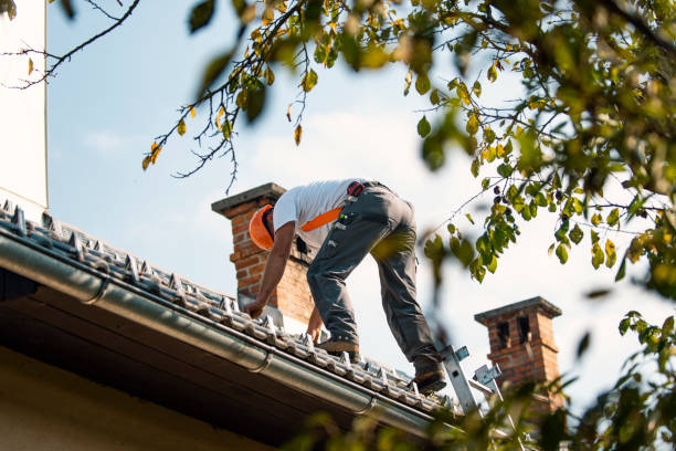 Roof Gutter Cleaning in Riverview, SC