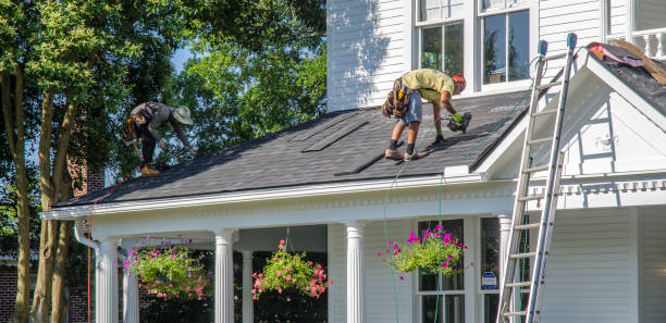 Professional Roofing Contractor in Riverview, SC
